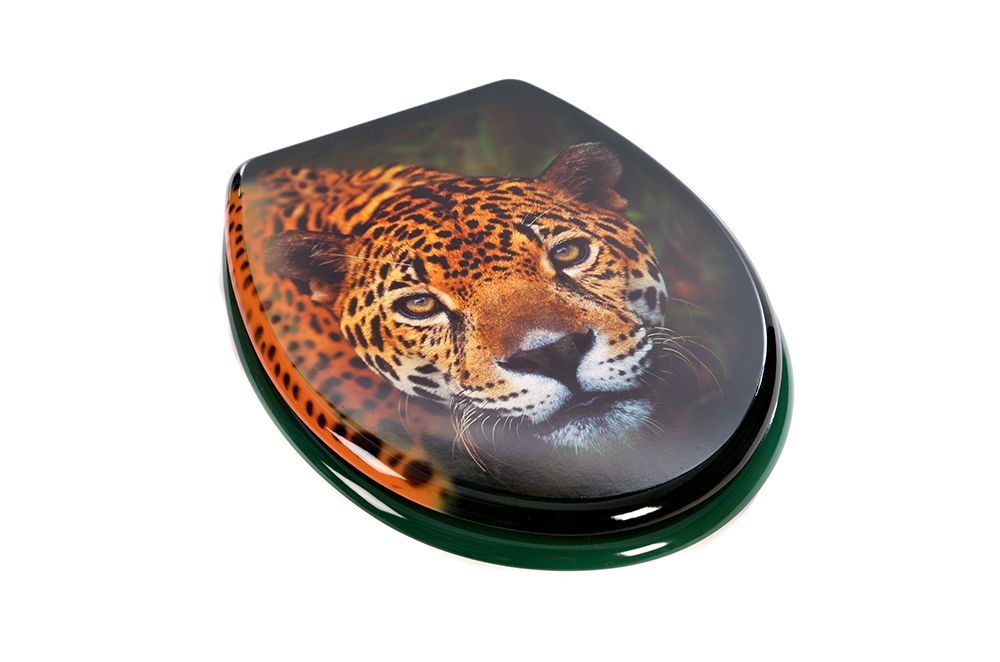 Novelty Toilet Seat Resin Material with Corrosion Free Chrome Hinges